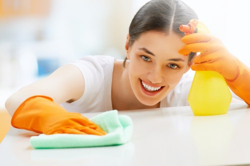 Domestic cleaner in SW15 preparing a tidy living room for a home cleaning visit