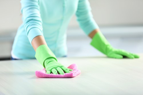 Local cleaner preparing a SW15 flat for tenancy handover
