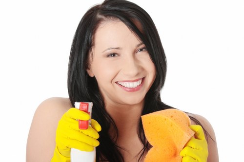 Regular domestic cleaning for flats and houses in SW15